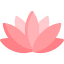 연꽃 아이콘
